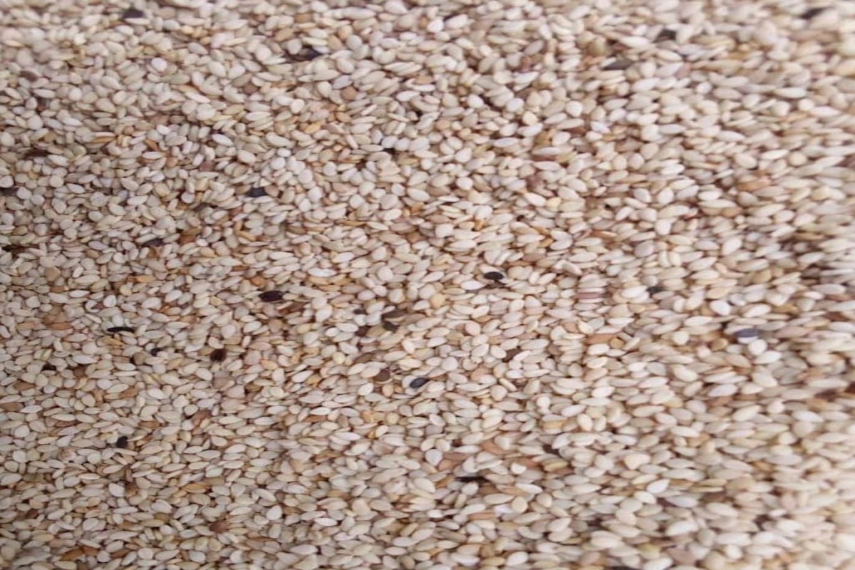 Sementes de gergelim from Tanzânia